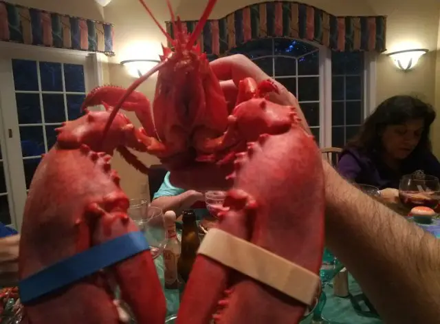 Google Glass Lobster