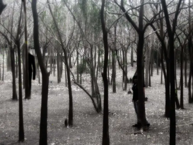 slenderman_in_the_forest_by_shizuriiku-d64y5q9