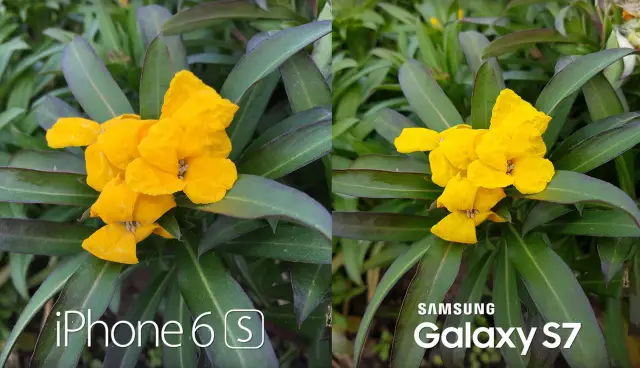 Galaxy S7 vs iPhone 6S Plus camera test