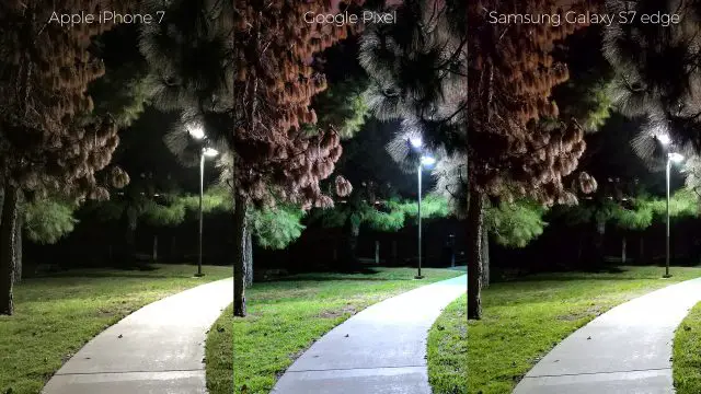 pixel-camera-versus-iphone7-galaxys7edge-light