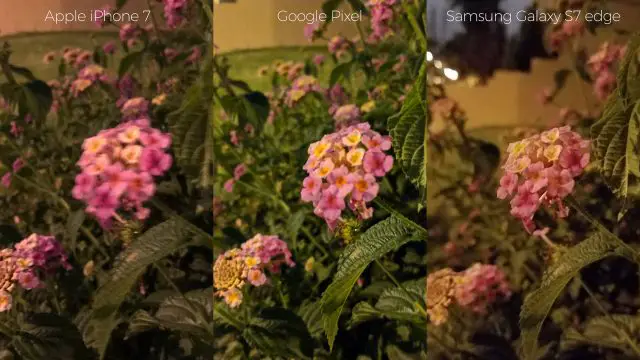 pixel-camera-versus-iphone7-galaxys7edge-night-flowers