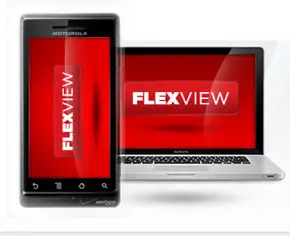 flexview
