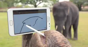 elephant-note