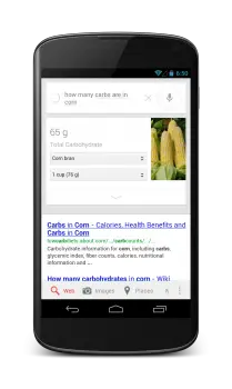 Google Search Nutrition Information 1