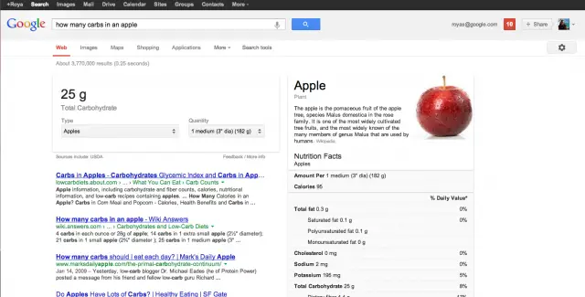 Google Search nutritional information web