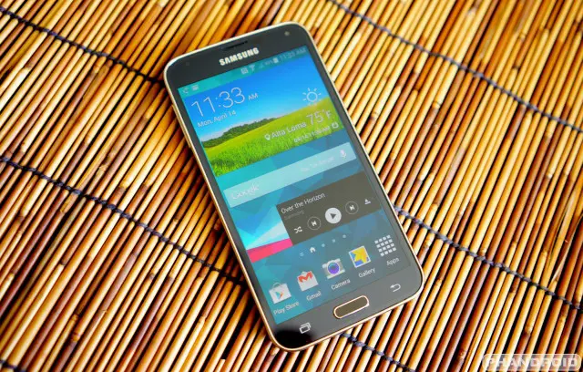 Samsung Galaxy S5 madeira DSC05784
