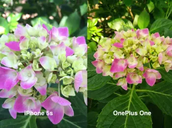 OnePlus One vs iPhone 5s camera test 1