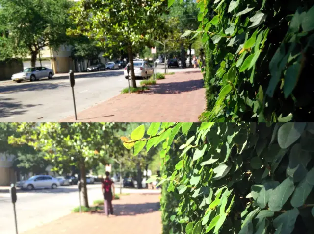 OnePlus One vs iPhone 5s camera test 2