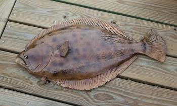 flounder