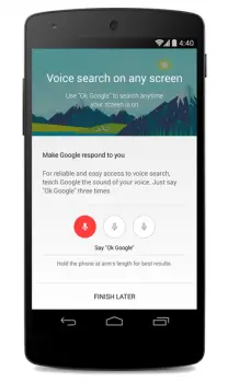 Google Voice Search any screen