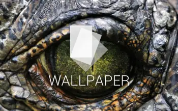 Android Wallpaper: Walking with Dinosaurs - Phandroid