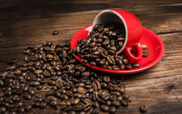 red_cup_and_coffee_beans