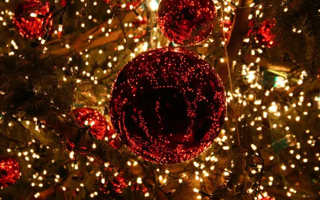 christmas-lights-tree