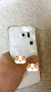 Samsung Galaxy S6 back leak