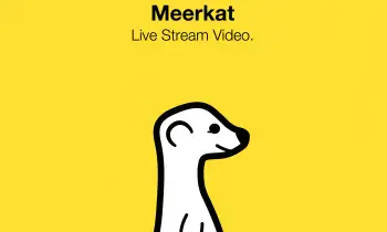 Meerkat banner