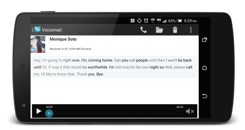 google voice sign in