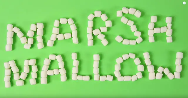 Android Marshmallow marshmallows