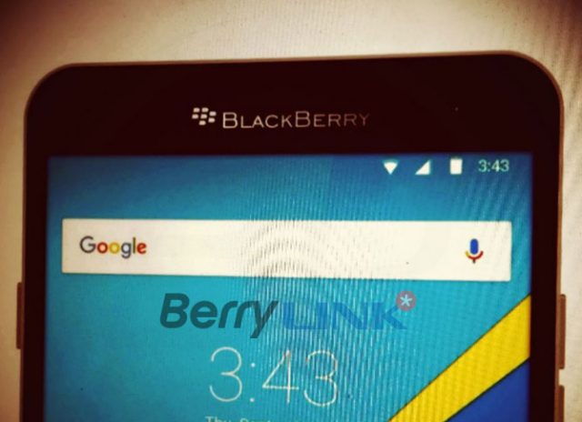 blackberry-2016-3