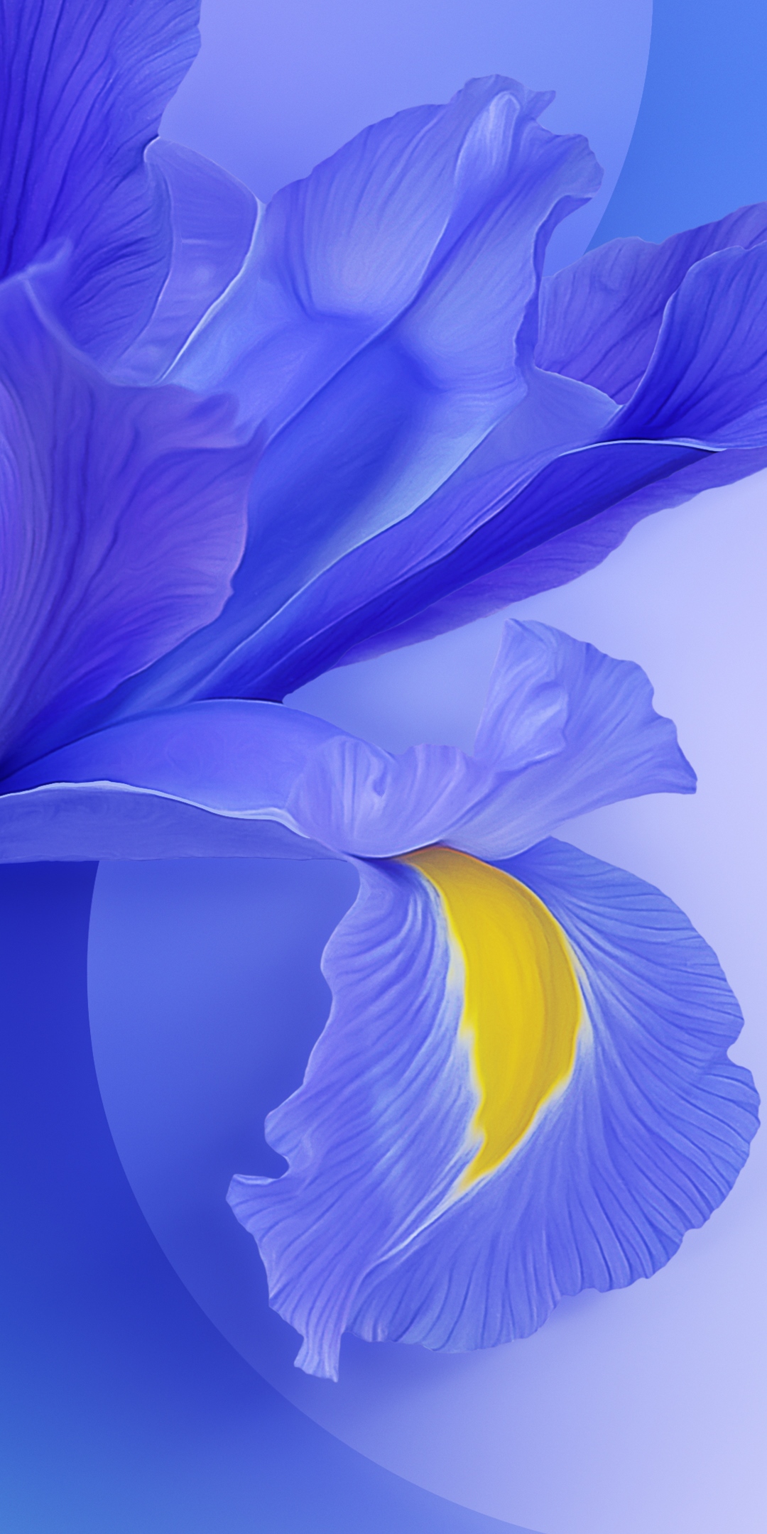 Download Xiaomi Mi 9 Wallpapers to customize your old ...
