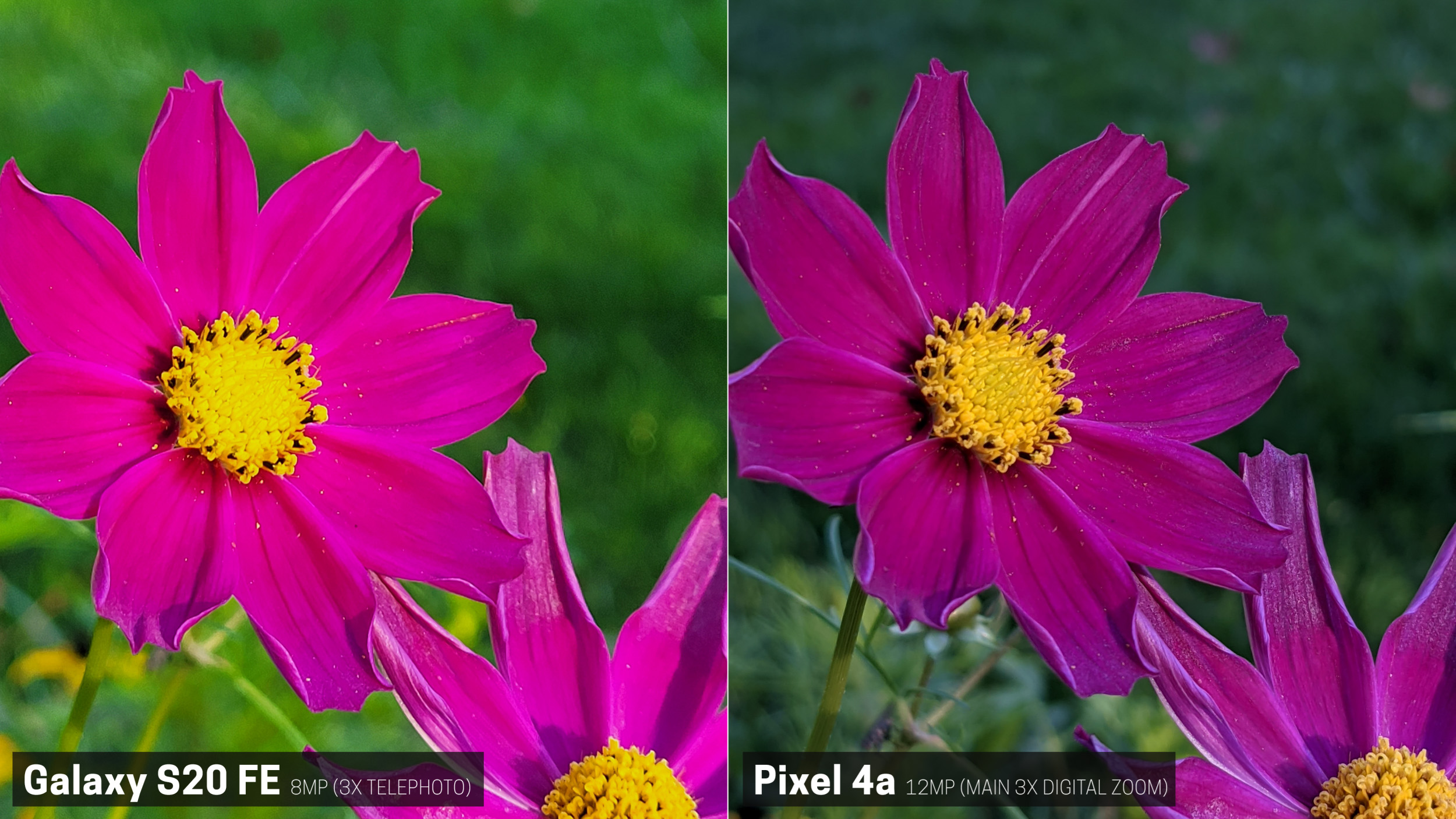圖 Galaxy S20 FE vs Pixel 4a 拍攝比對