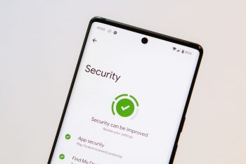 Security Panel Pixel 6 Pro