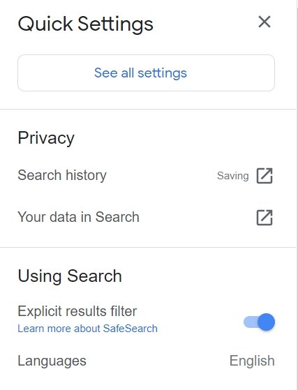 Google Explicit Search Filter