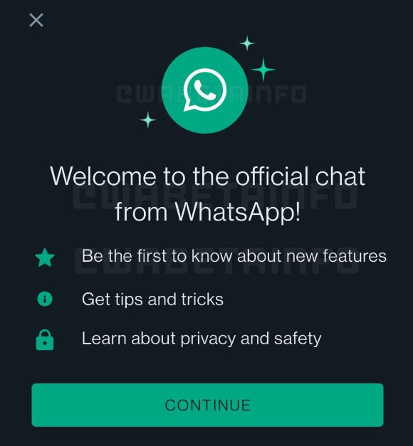 WhatsApp is dealing with a chatbot that will tell clients new