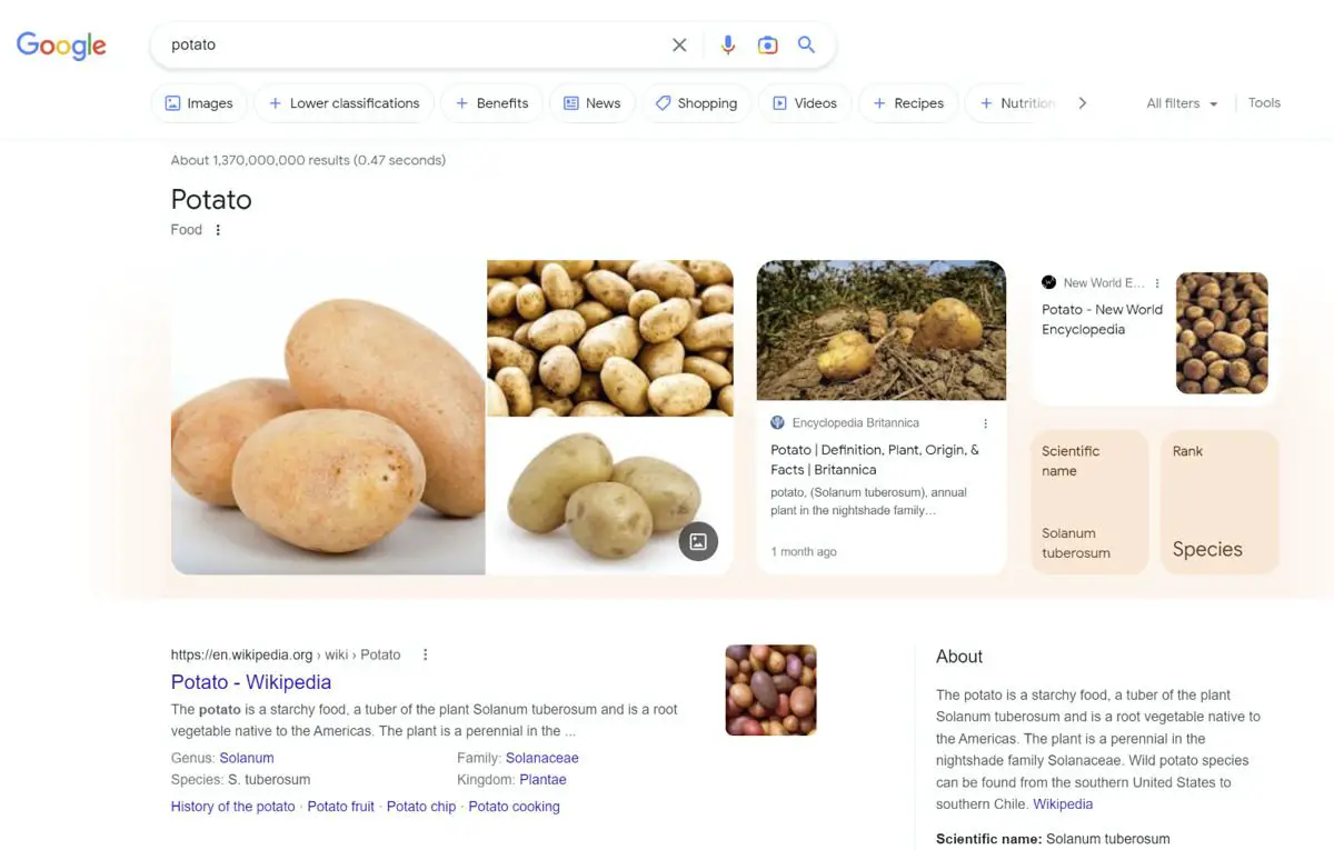 google search knowledge panel